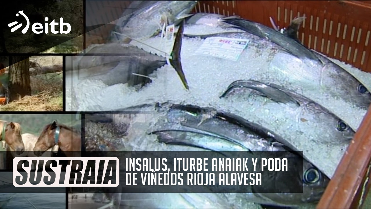 SUSTRAIA: Insalus, Iturbe anaiak y Poda de viñedos Rioja Alavesa