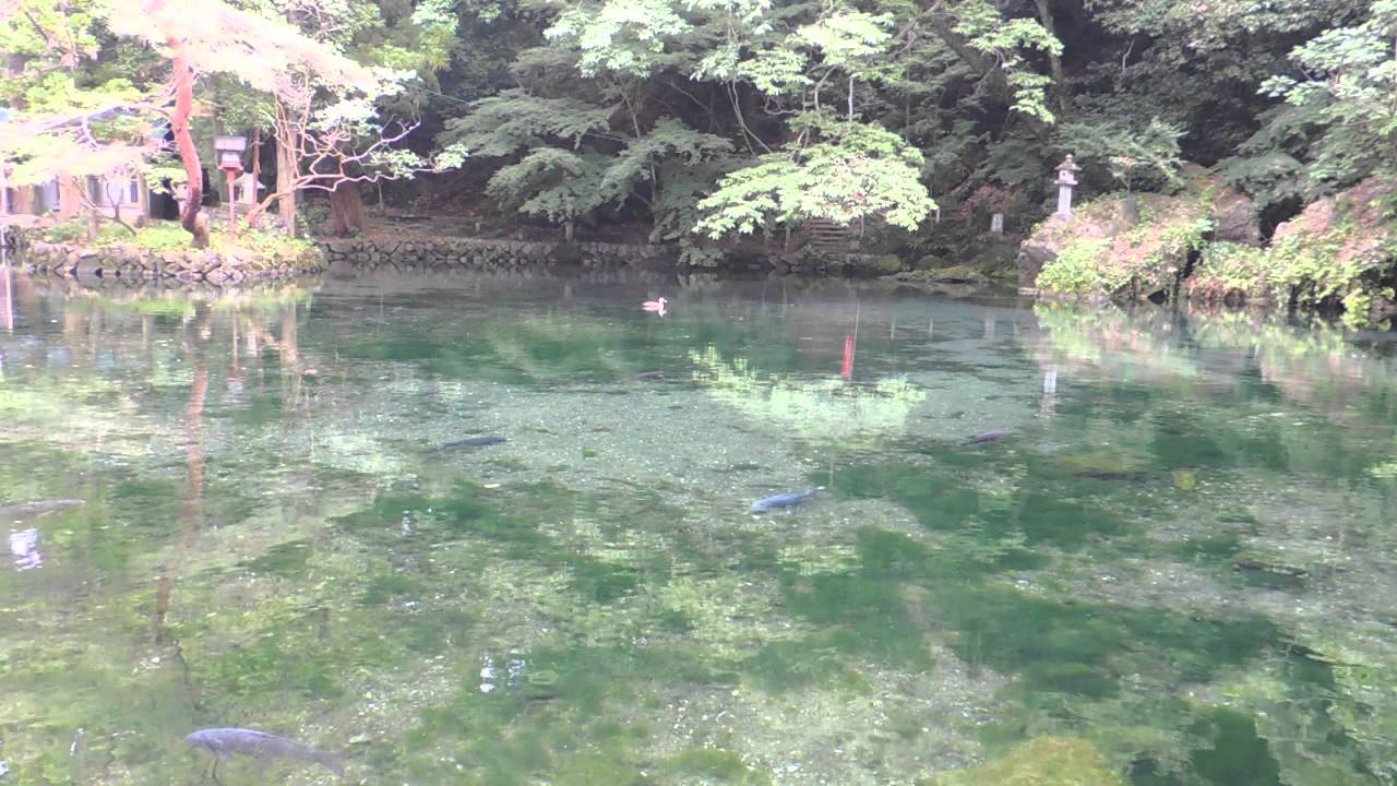 出流原弁天池（いずるはらべんてんいけ）