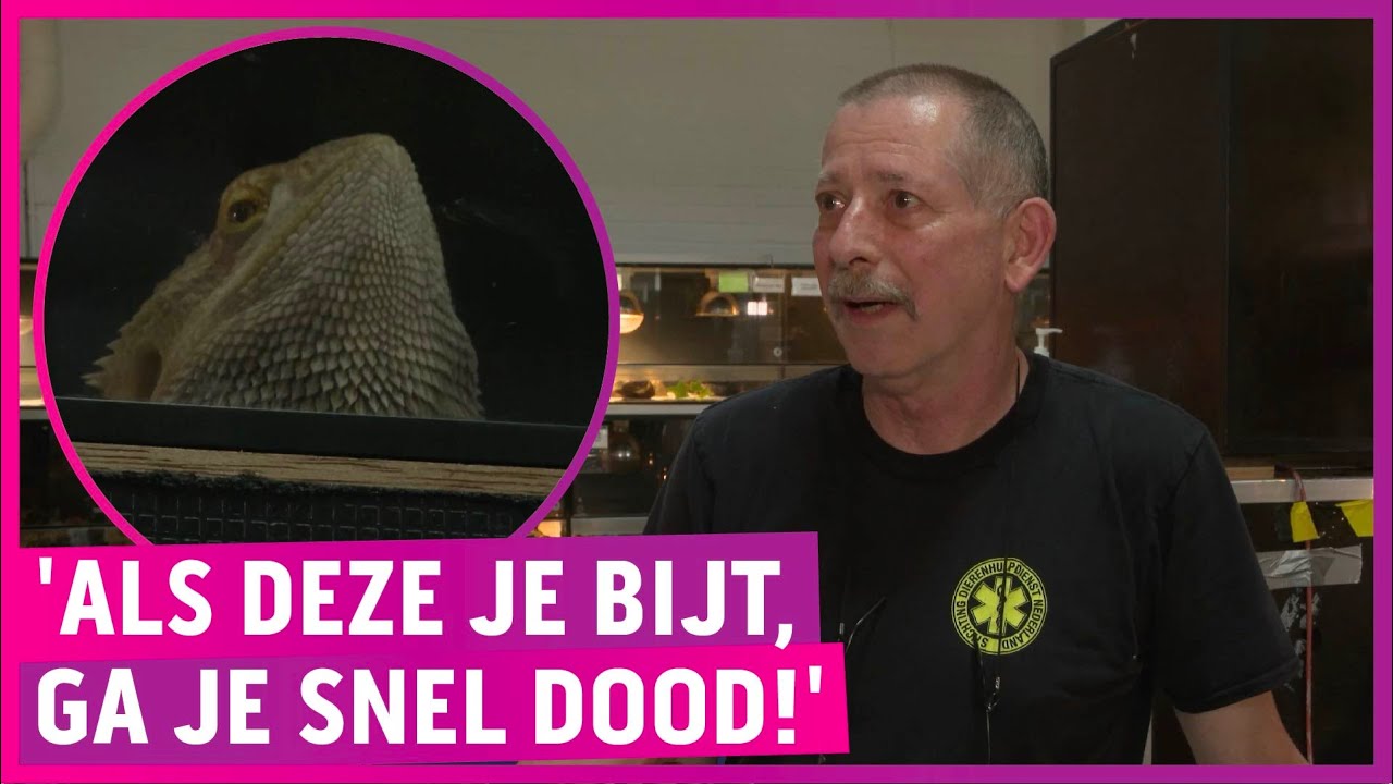 Giftige slangen en hagedissen massaal gedumpt: 'Vol is vol!'