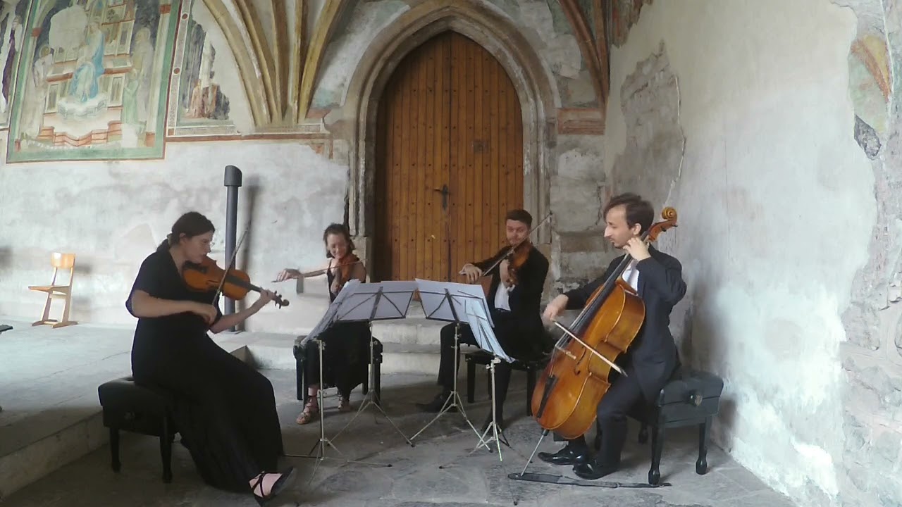 The Entertainer - Scott Joplin [String Quartet]