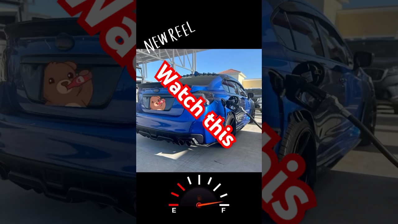 #subarulife #subiegang #cartok #ceo #subscribenow #youtubeshorts #carenthusiast #shakeittothemax