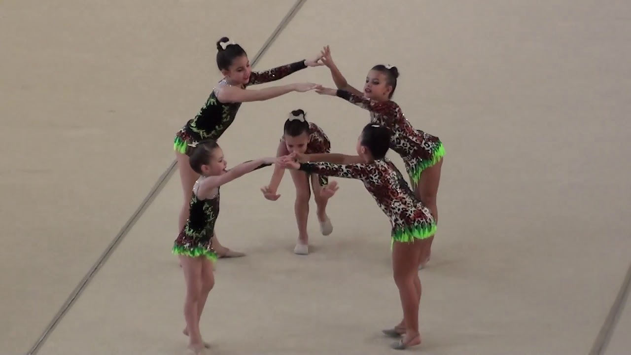 CONJUNTO DE GINÁSTICA RÍTMICA ML-  WACA WACA  - RITMUS ECOLA DE GINÁSTICA - ESTADUAL 2018 RJ