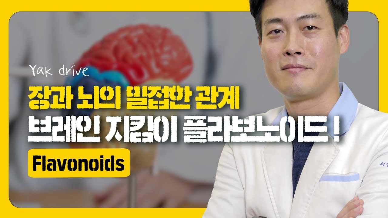 장과 뇌의 밀접한 관계, 브레인 지킴이 폴라보노이드 ! #약드라이브 #칼로리 #약국 #약사 #건강정보 #폴라노보이드 #치매예방 #치매 #뇌건강 #뇌혈관질환 #뇌 #장내미생물