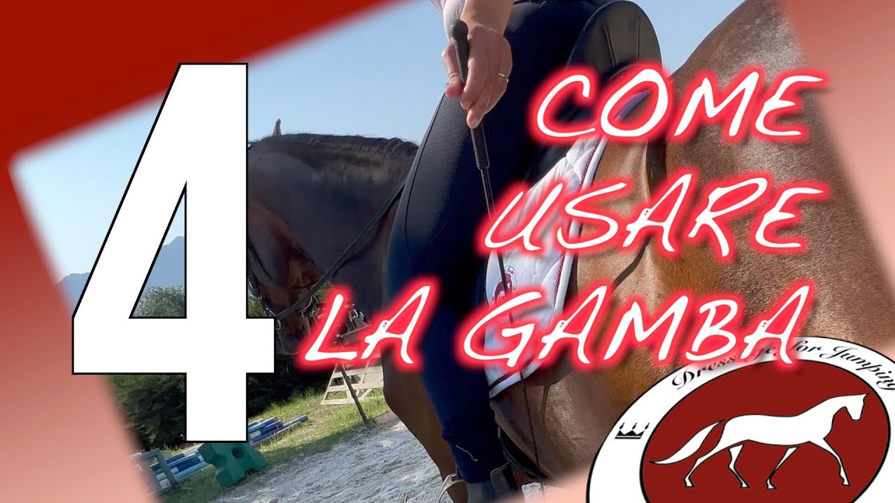 #dressageforjumping Uso della gamba - parte 4