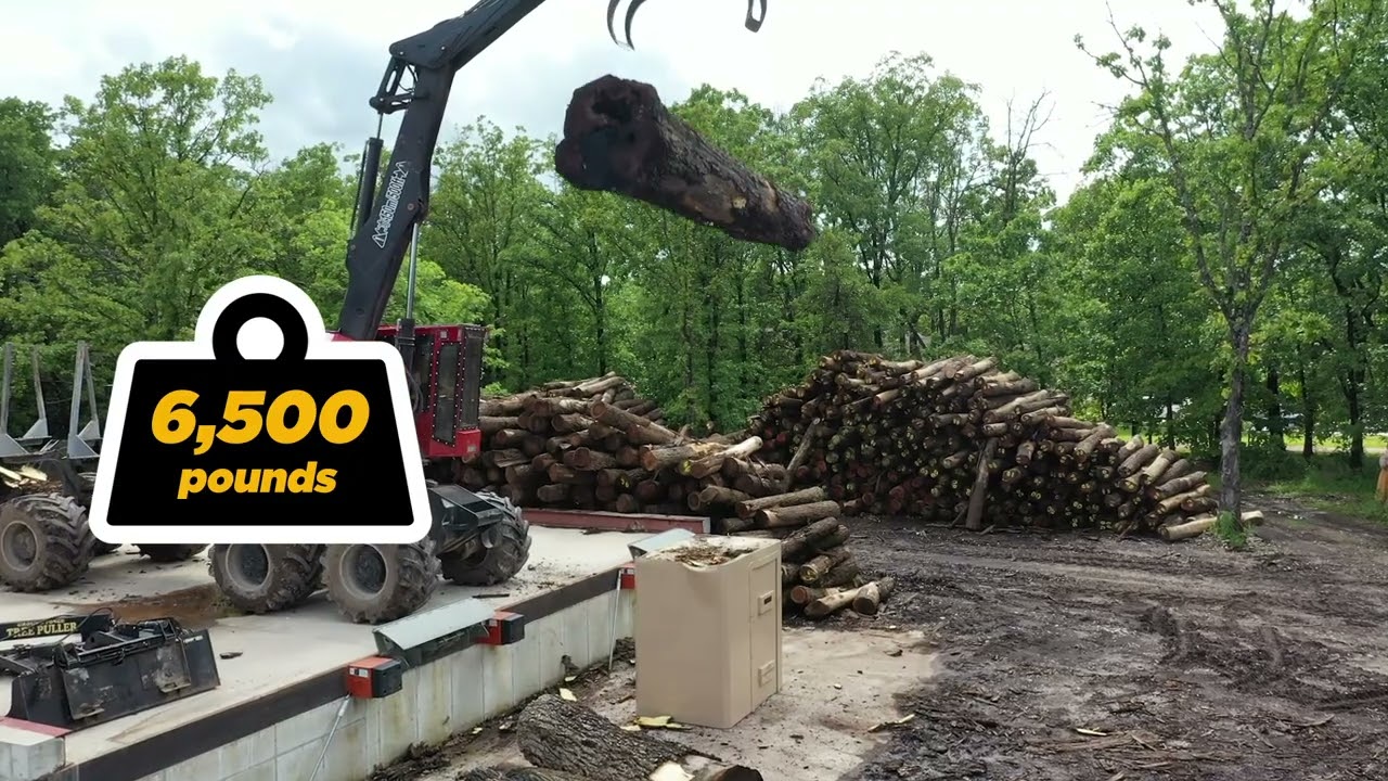 Safe T First Storm Shelter vs. Heavy Log Impact (Extreme Test)