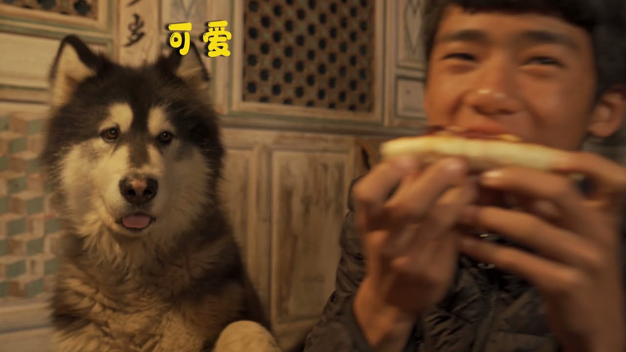 大王对于食物的眼神相当热烈 Dawang's eyes on the food are quite enthusiastic丨Apenjie with Dawang