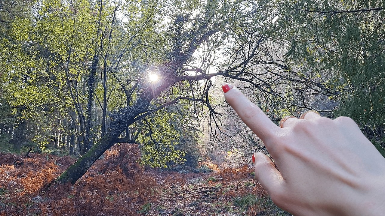 ASMR Forest Air Tracing (no talking)