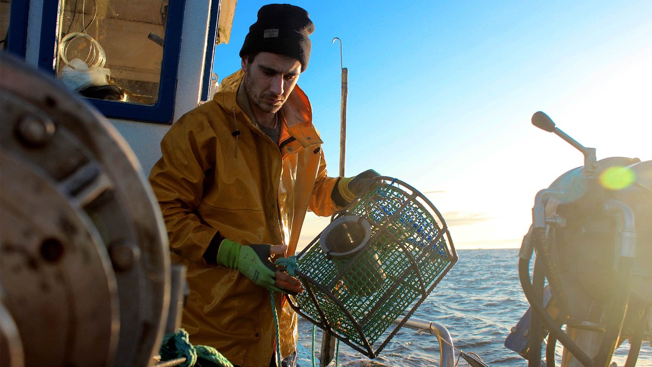 Captura artesanal de pulpo a bordo del Punta Galiño con Diego.