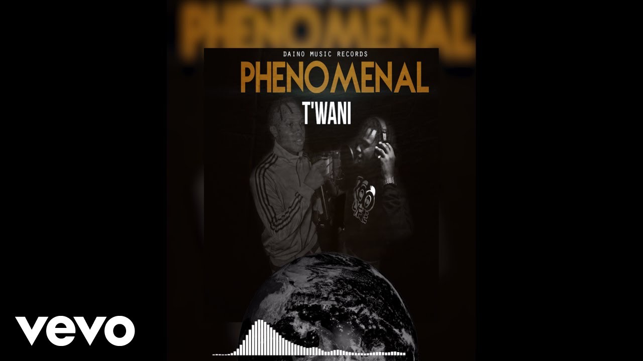 TWani - Phenomenal (Audio)