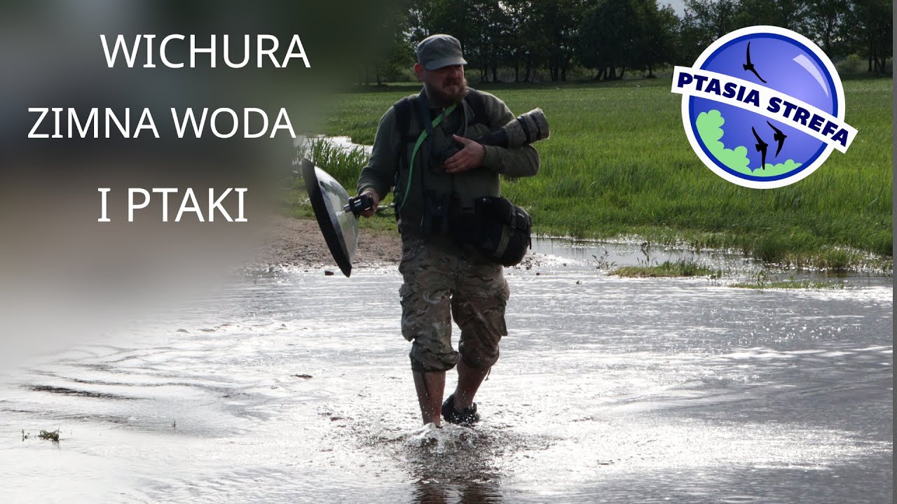 Biały Grąd (odgłosy Biebrzy odc. 3)
