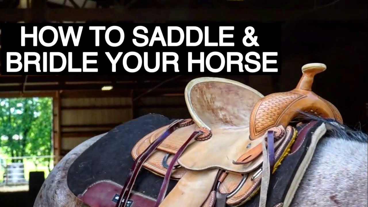 HOW TO TACK UP YOUR HORSE WESTERN