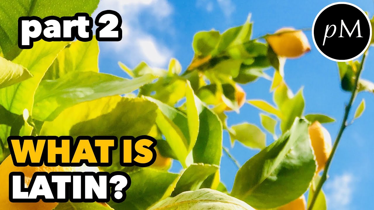 What is Latin? CONTINUED: New Latin Vocabulary, Word Choice, Synonyms | Latin Language | Neo Latin