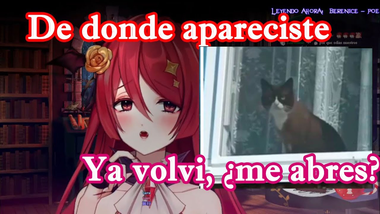 El gato de Himea la asusta en pleno stream xD [Hime D'almaria]