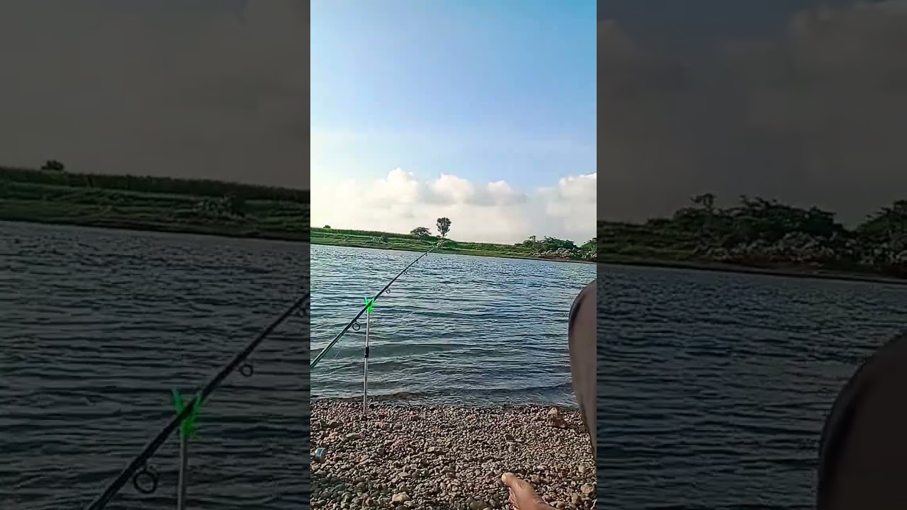 Pune fishing spot #punefishing #fishing #freshwaterfish #shortvideo pune fishing