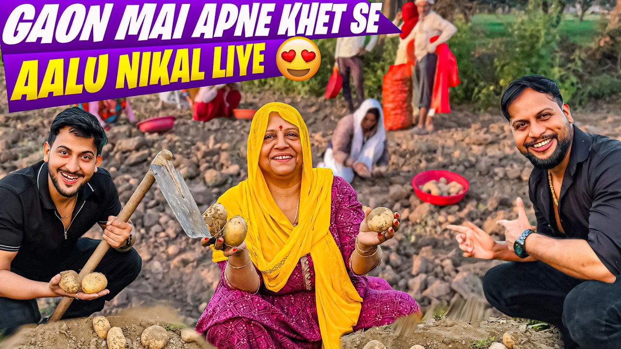 Gaon Mai Apne Khet Se Aalu Nikal Liye😍 Full Desi Life💪 | Vinay Thakur Vlogs