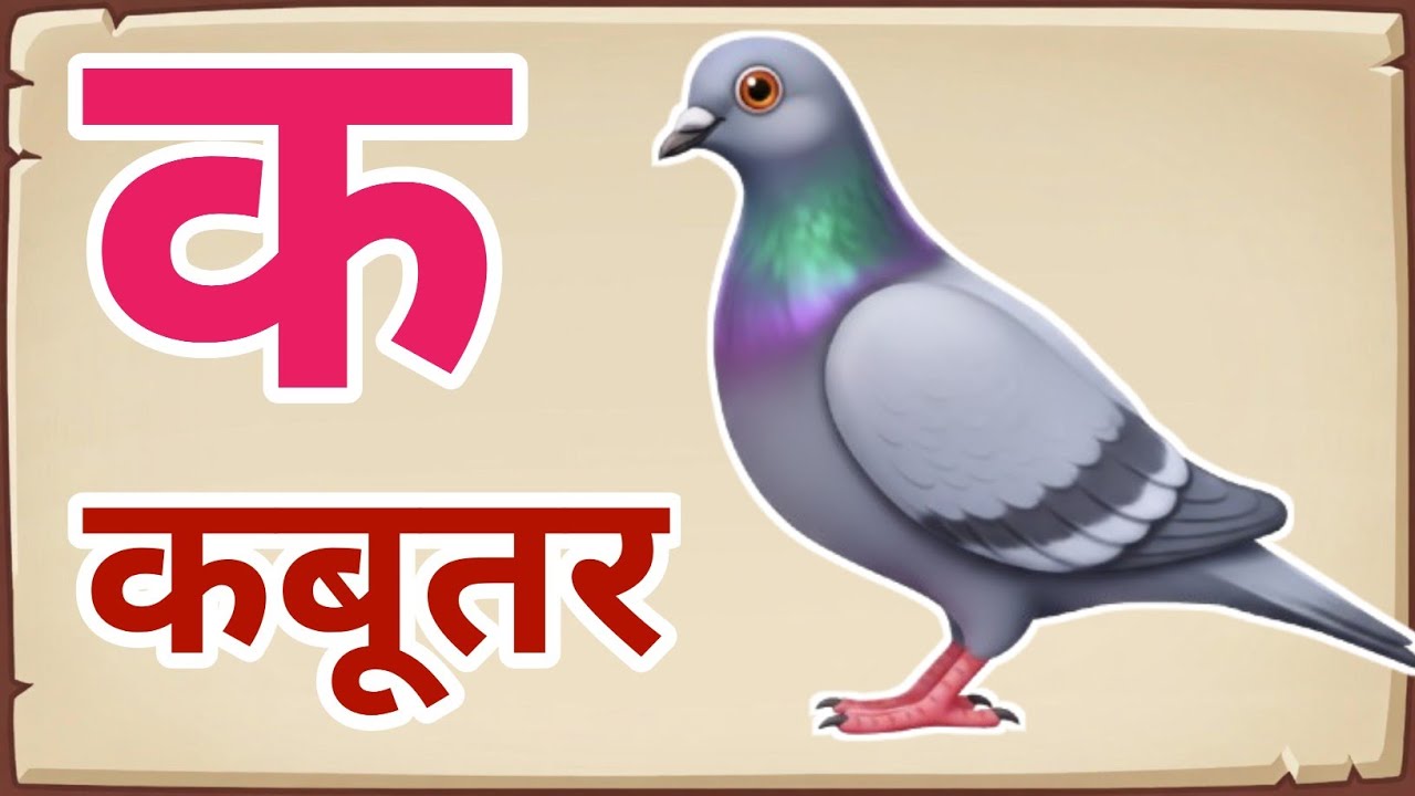 क से कबूतर, अ से अनार a se anaar k se kabutar I Hindi varnmala I ABCD क से कबूतर अ से अनार, for kids