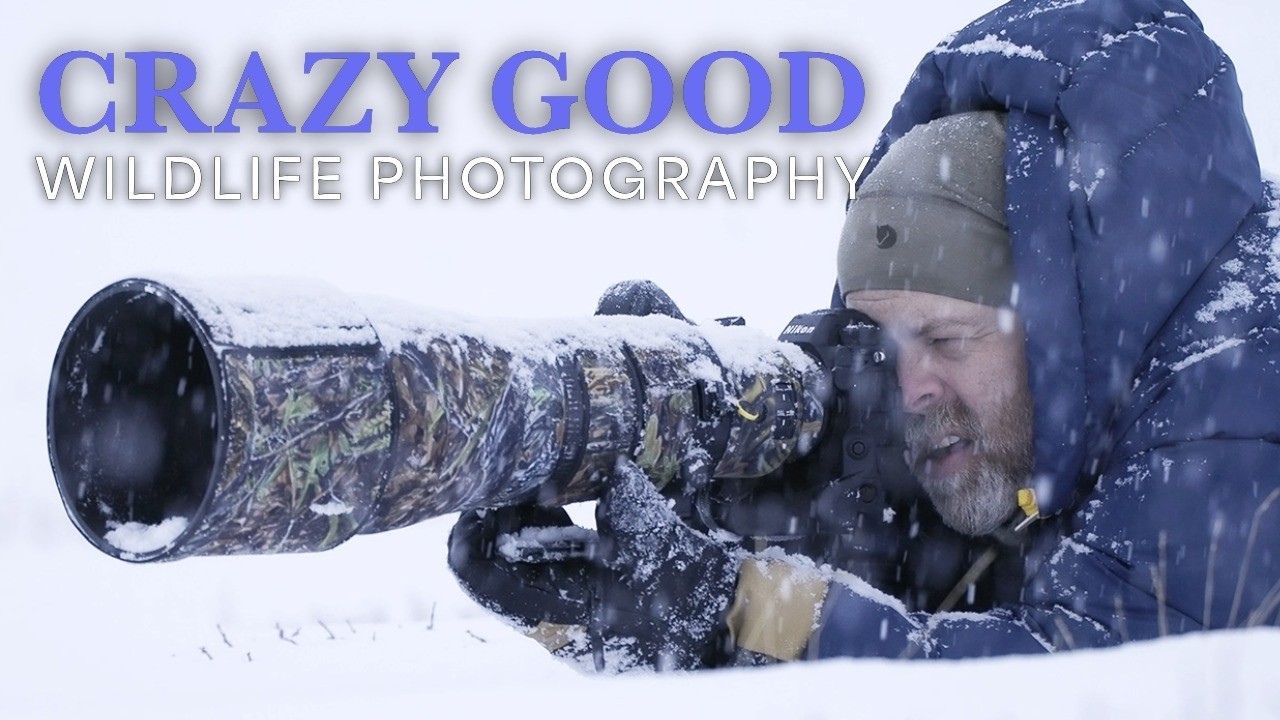 Фотостудия Wildlife Photography прошла путь от сложной ситуации до идеальной.