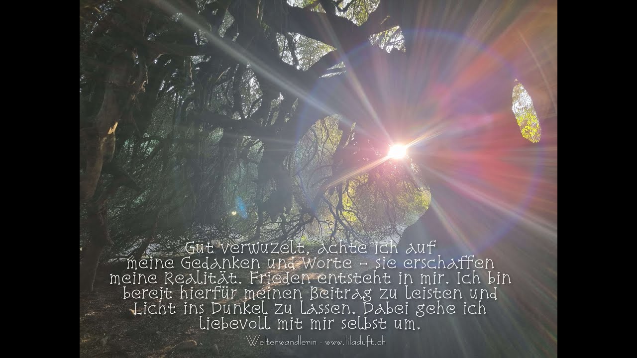 Wort und Gedanken entscheiden über Frieden oder Krieg.