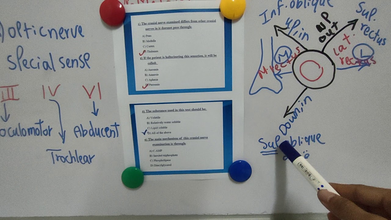 Cranial nerves Practical (CNS Physiology) Dr Mohamed Fayez