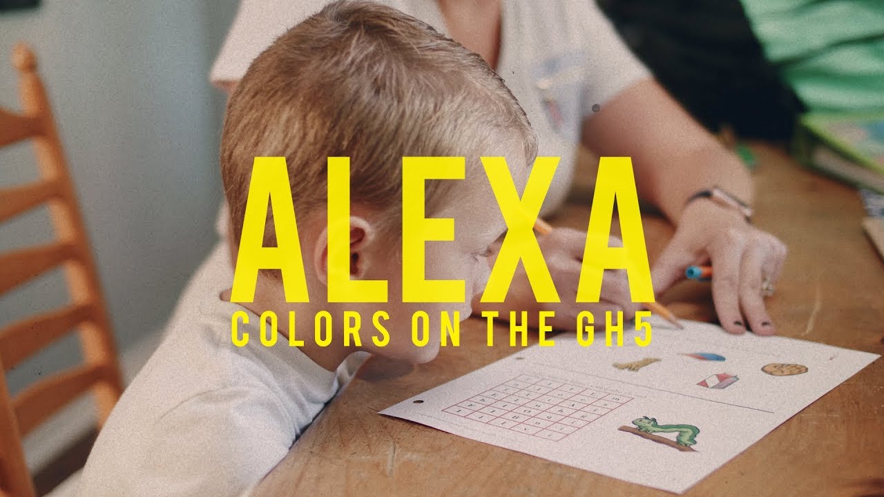 ALEXA COLORS ON THE GH5 TEST | EMOTIVE COLOR | VOIGTLANDER 25