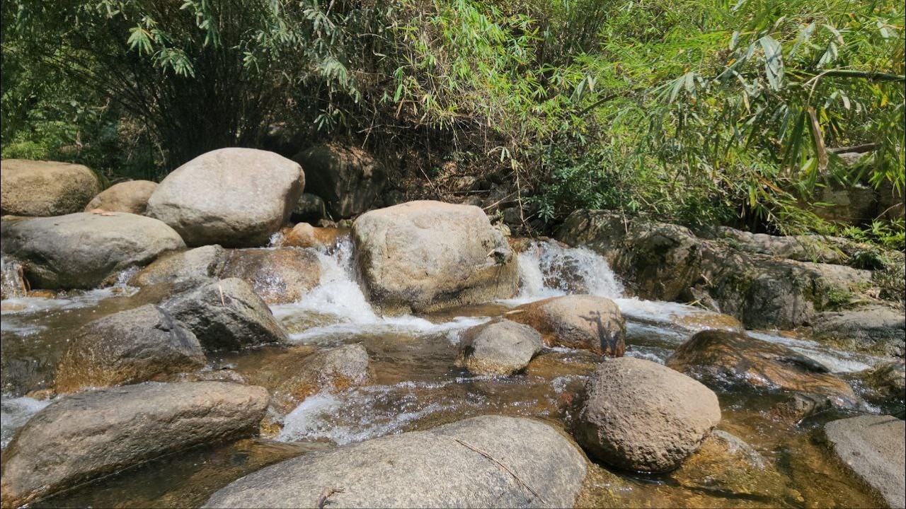 Deep Forest Water Flow 🌲💧 | Relaxing Nature Sounds for Sleep