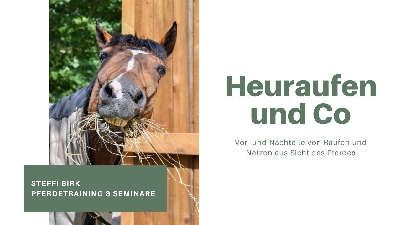 Heuraufen, Heunetze und Co: Vor- und Nachteile in der Pferdefütterung
