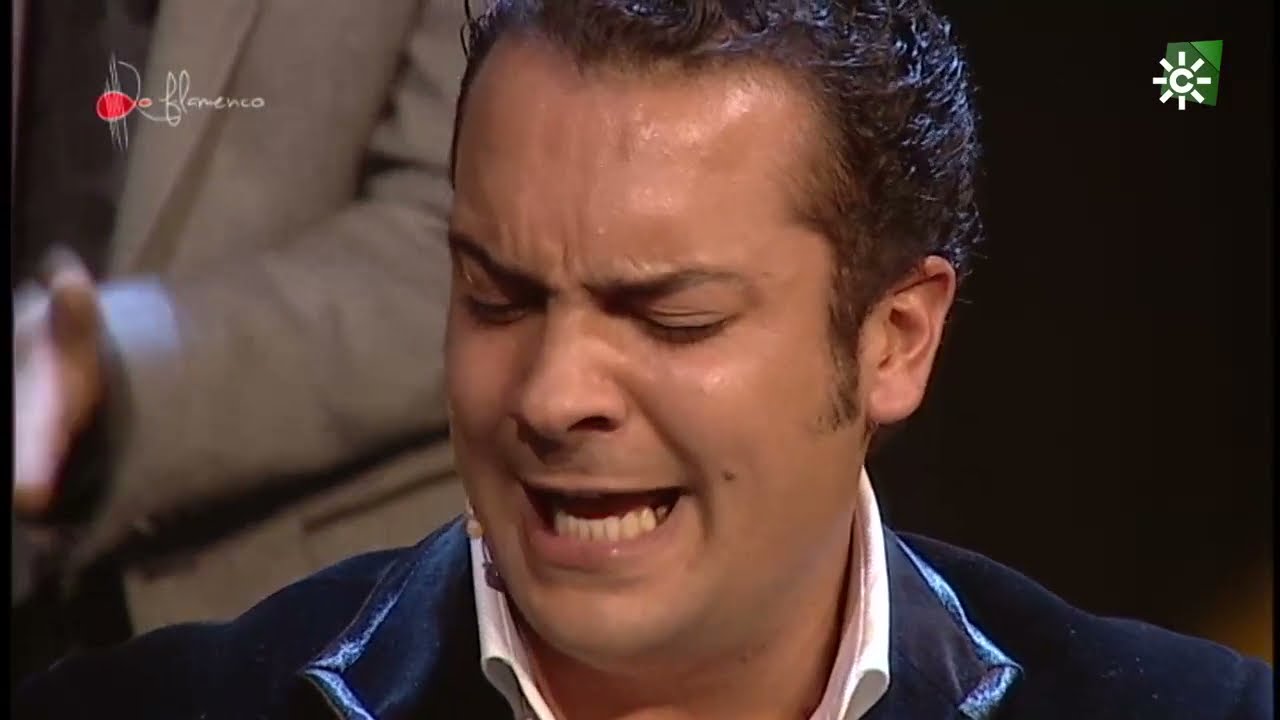 Bulerías. Jesús Méndez. 2011