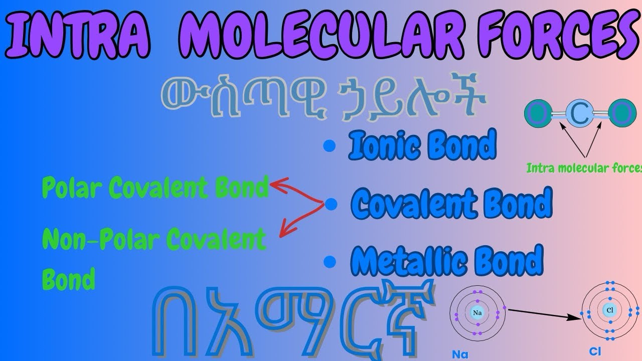 Ionic,Covalent & Metallic Bonds ሙሉ ማብራሪያ- በ 10 ደቂቃ ብቻ፤ በጣም ቀላል