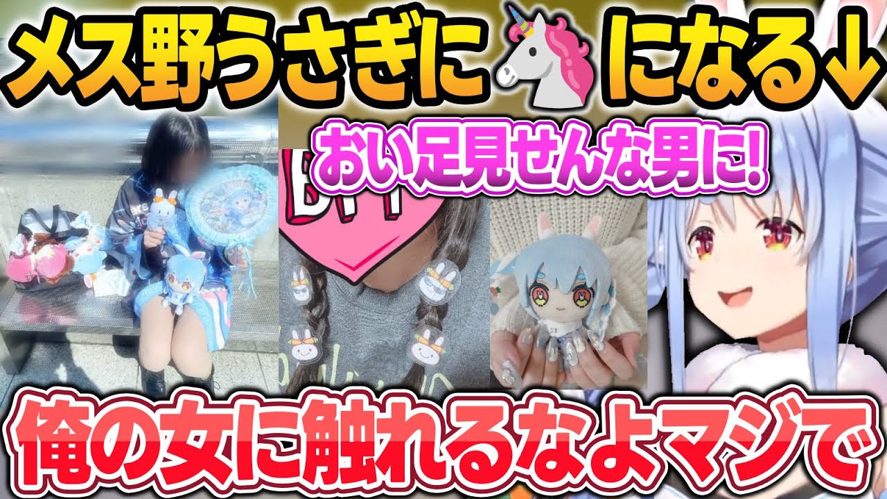 【参戦服鑑賞】野うさぎが群れる事と、メス野うさぎに近づく輩を絶対に許さないぺこーら【兎田ぺこら/ホロライブ/切り抜き】