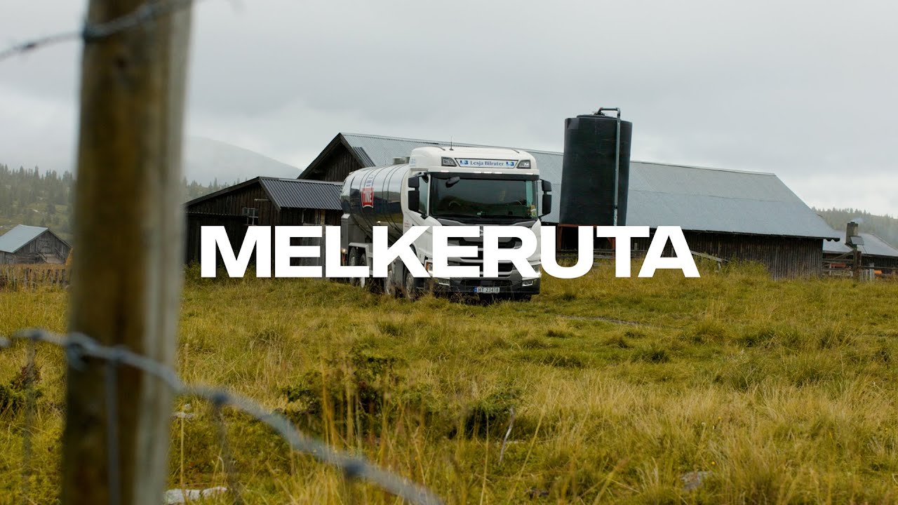 Melkeruta
