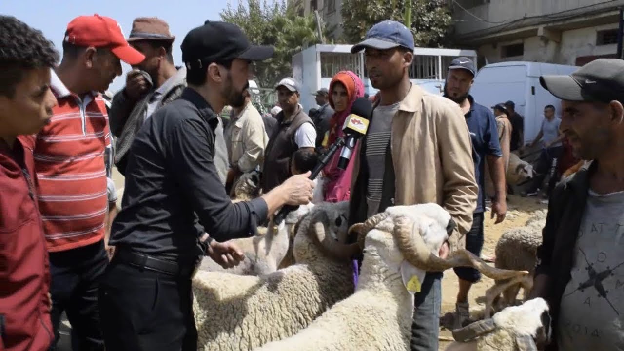 اجيو نشوفو الحولي شحال ساوي فسوق القصر الكبير