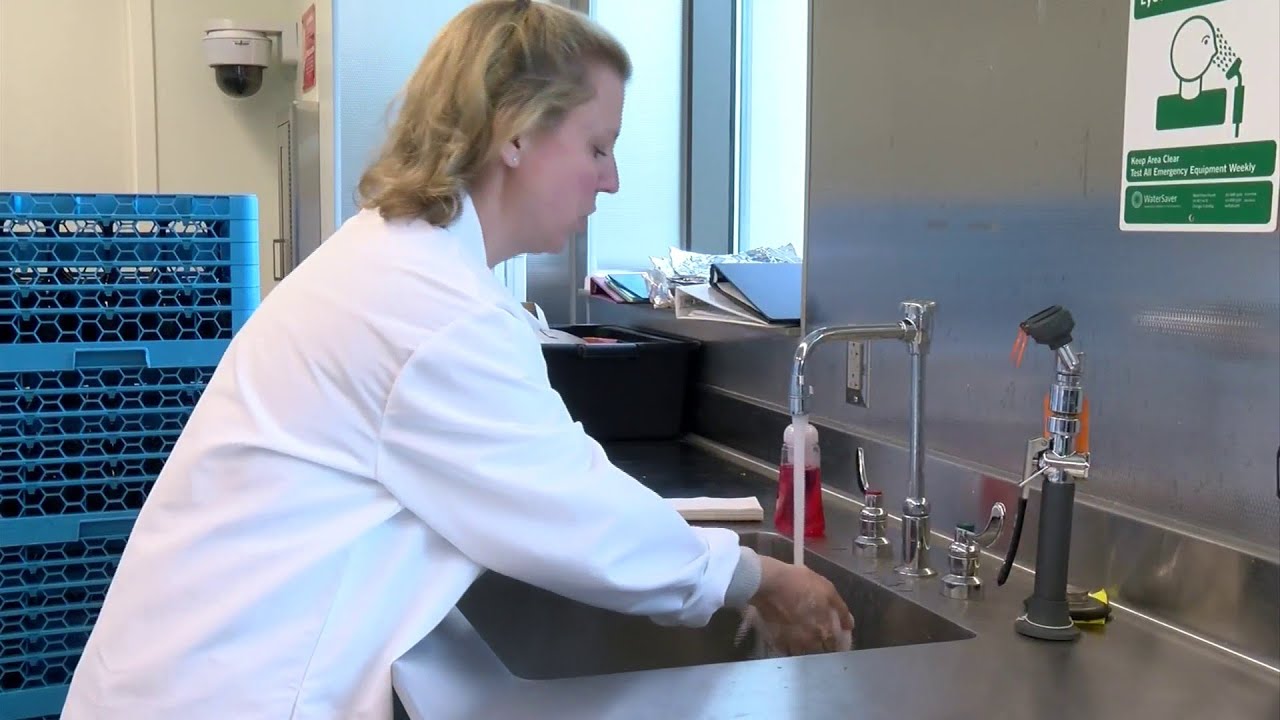 Experts show us the most effective way to wash your hands