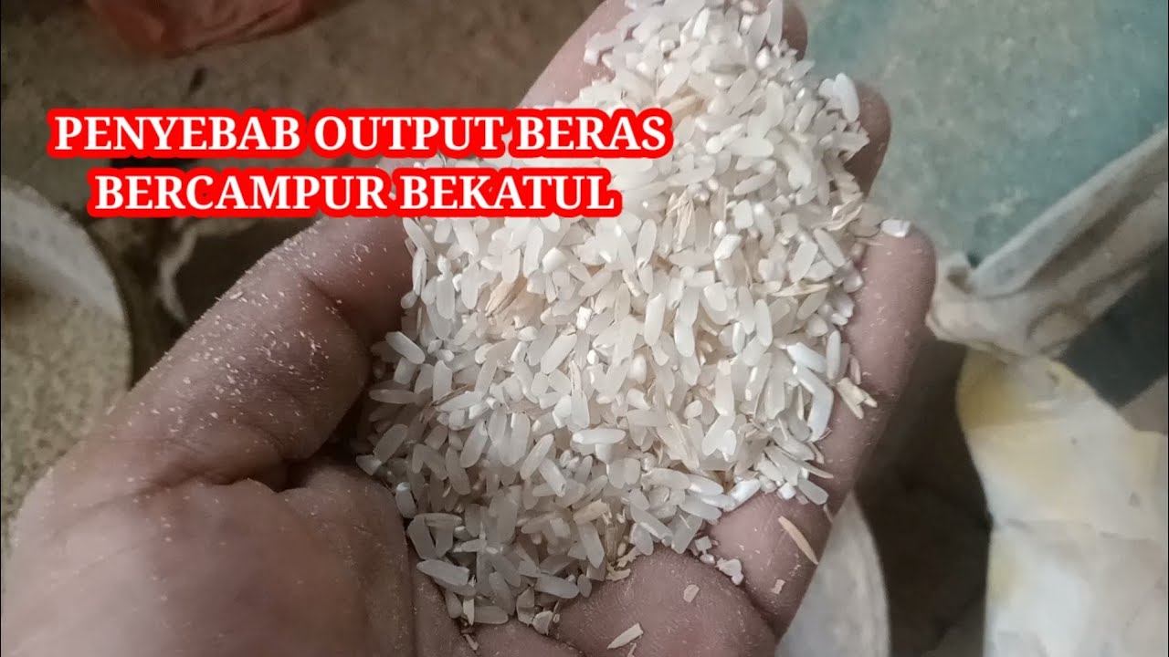 Penyebab Output Beras Penggilingan Padi Bercampur Bekatul Atau Kotor