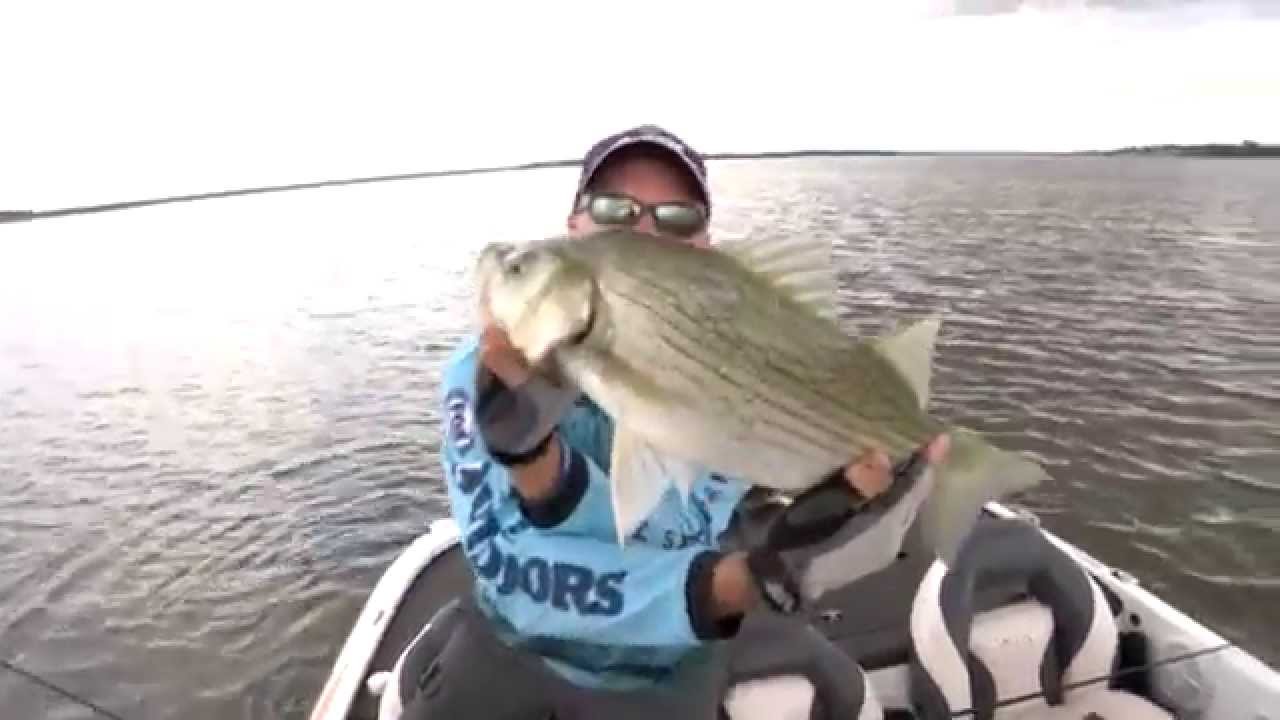 Crank Bait Trolling Techniques - With Barry Stokes