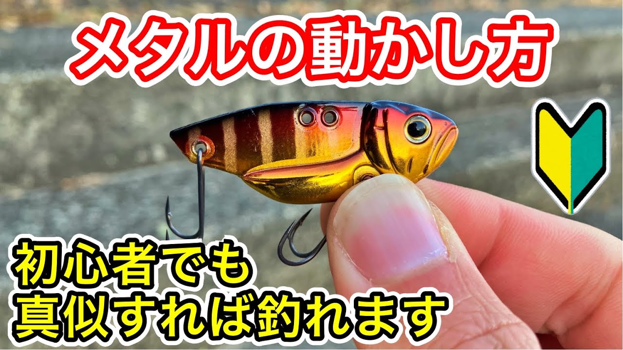 【バス釣り】メタルバイブの動かし方