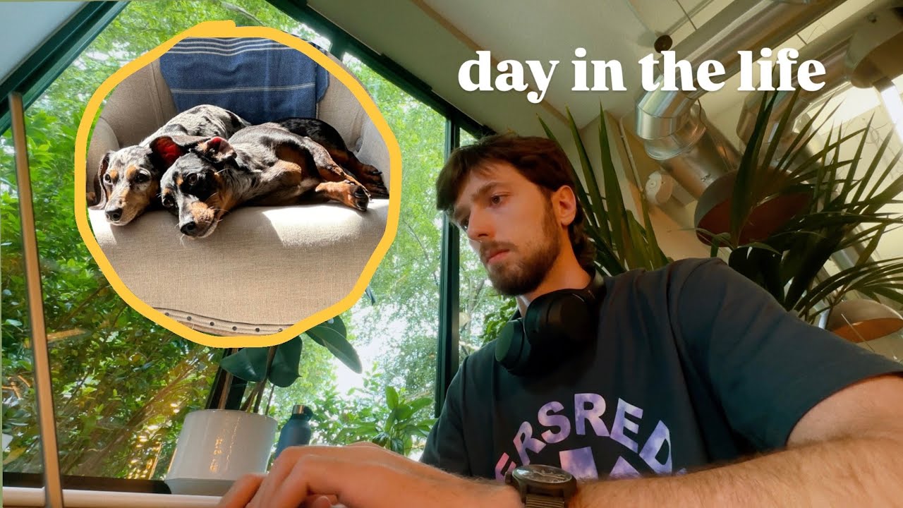 staying in London for free  | pet sitting as digital nomad