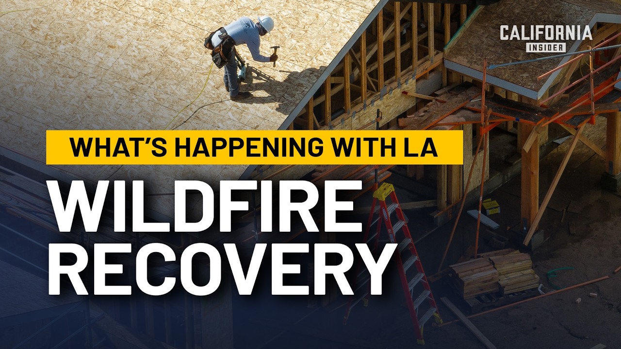 What’s Happening in the Palisades One Year After the Fires