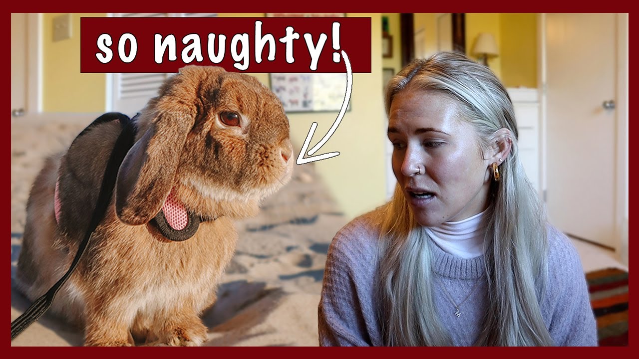 Our Worst Travel Experience Yet