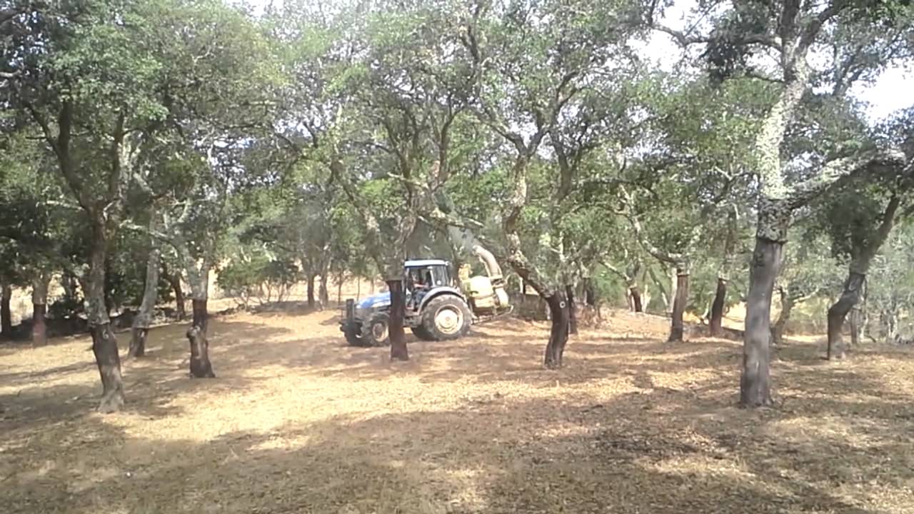 New Holland TD5050 pulverizador Omega Rocha 600lts