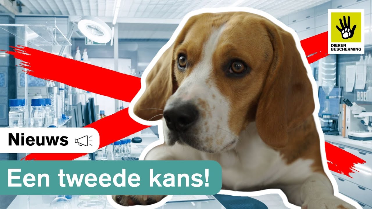 Een leven na het lab