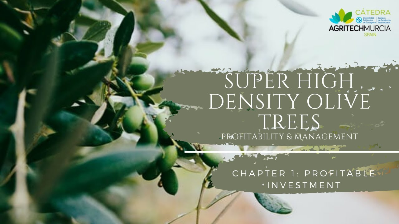 Chapter 1: Profitable investment