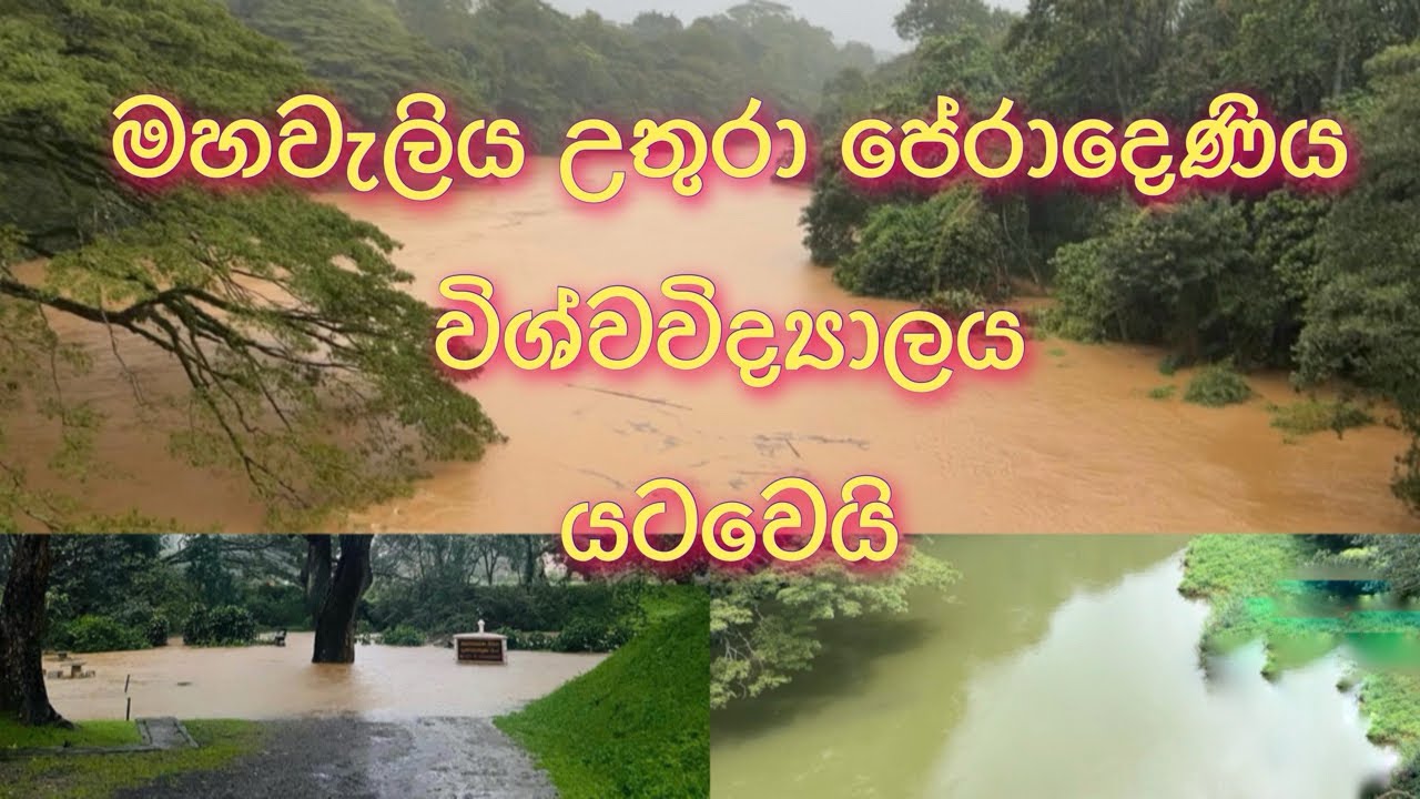 මහවැලිගඟ 😱😱😱| Mahaweli River 