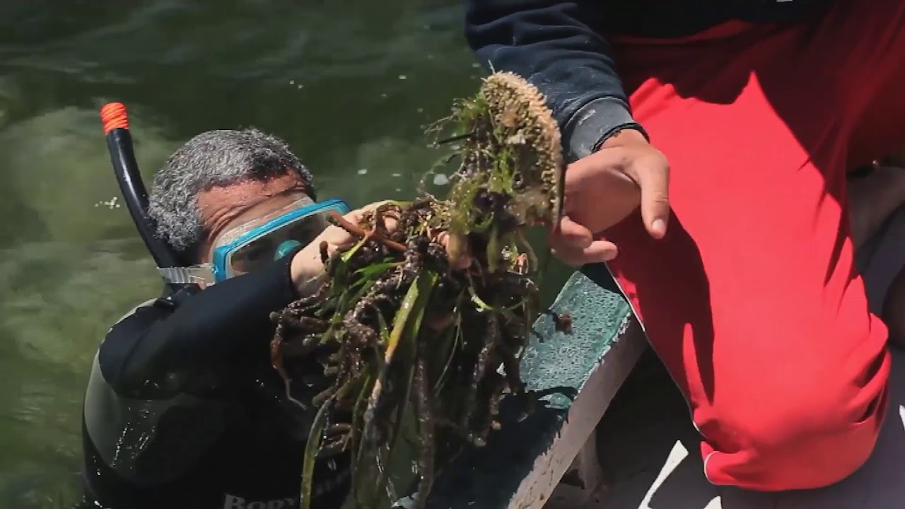 Highlights from the Regional Seas Programme