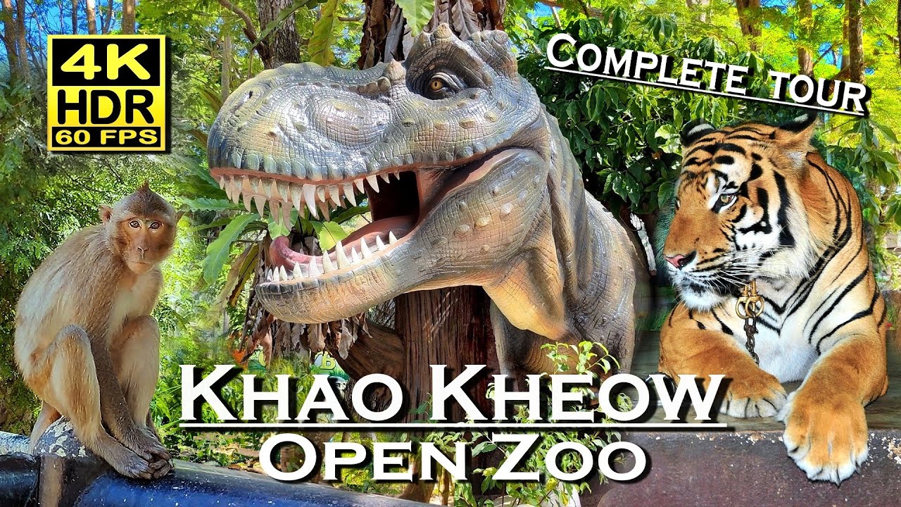 Khao Kheow Open Zoo Thailand 🇹🇭 4K 60fps HDR 💖 The best places 👀 Complete tour, Bus and Walking Tour