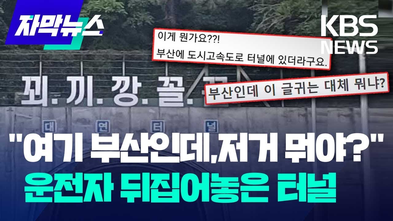[자막뉴스] 