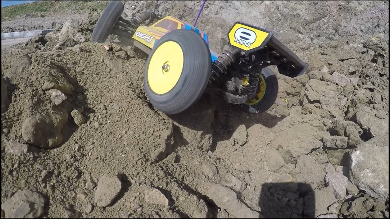 Team Losi Racing Mini 8ight 1/14th Scale AVC DIRT BASHING