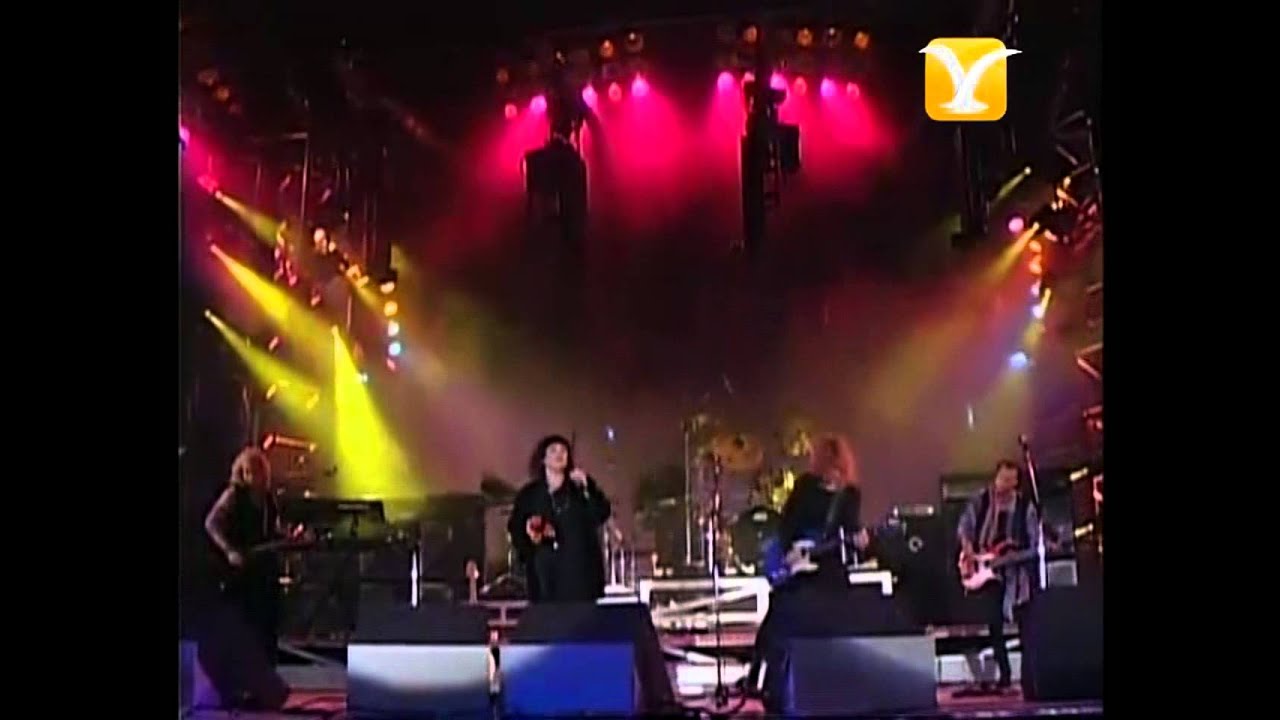 Heart, Wild Child, Festival de Viña 1994