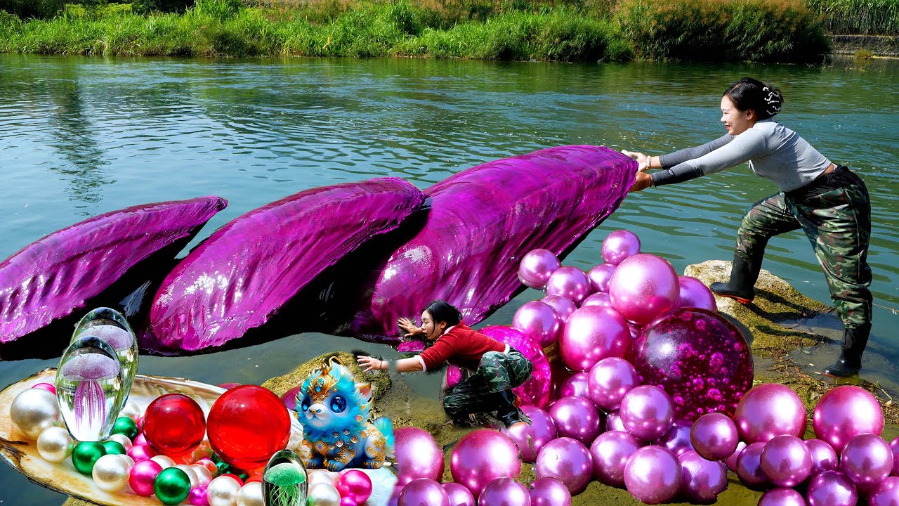 😱🎁🎁Pry open the giant purple clam, filled with enchanting purple pearls, it's incredibly beautiful