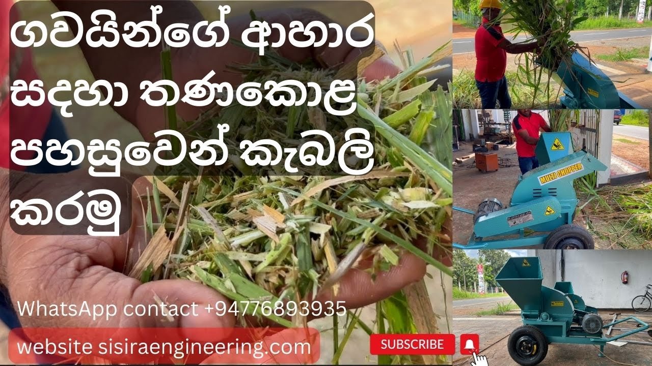 ගවයින්ගේ අහාර සදහා තණකොළ පහසුවෙන්  කැබලි කරමු l #sisiraengineering #compost #agriculturetechnology