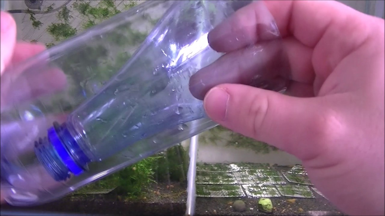 How to catch shrimps, how to restart a tank (close down)